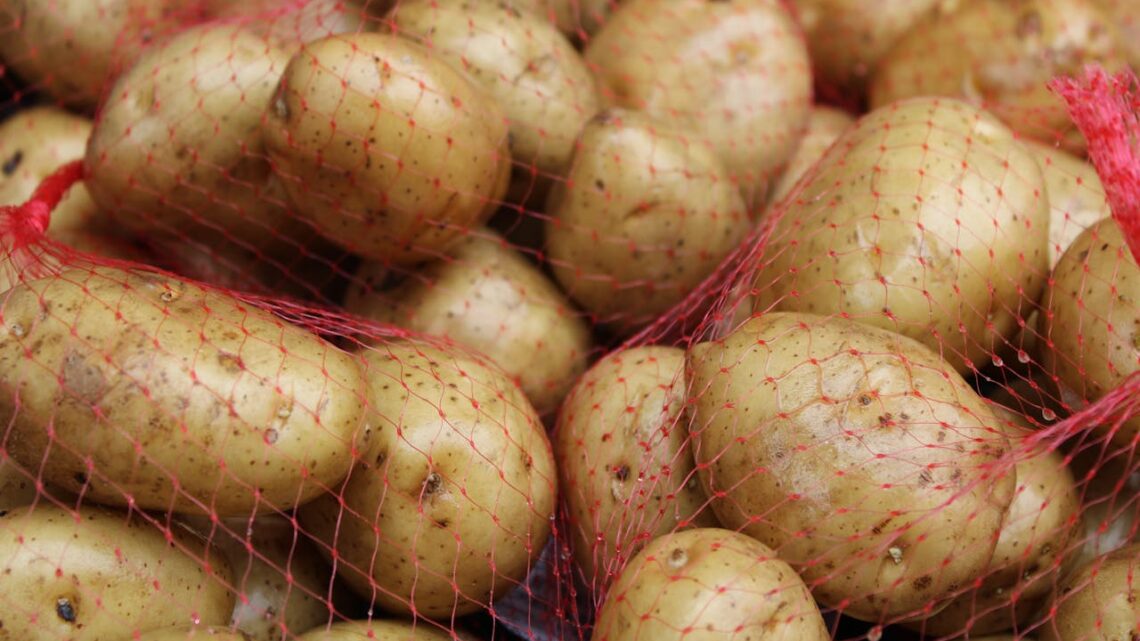 Patate germogliate: si possono mangiare?