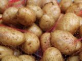 Patate germogliate: si possono mangiare?