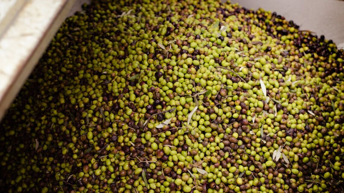 Le olive nere non esistono, occhio a cosa compri