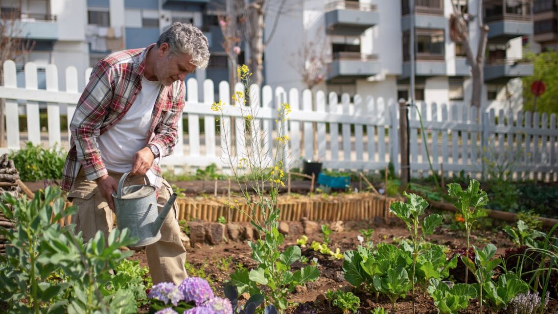 Come avviare un orto urbano in permacoltura